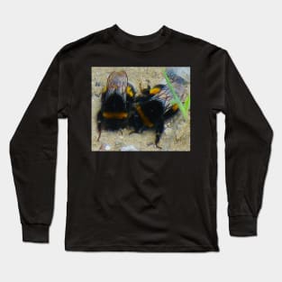 Two Cute Bumble Bees Long Sleeve T-Shirt